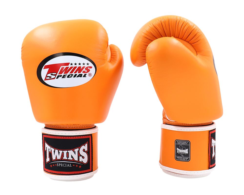 Twins Pro Boxing